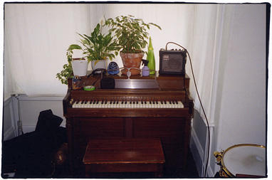 Tarentel - September 2006 - Recording @ Home